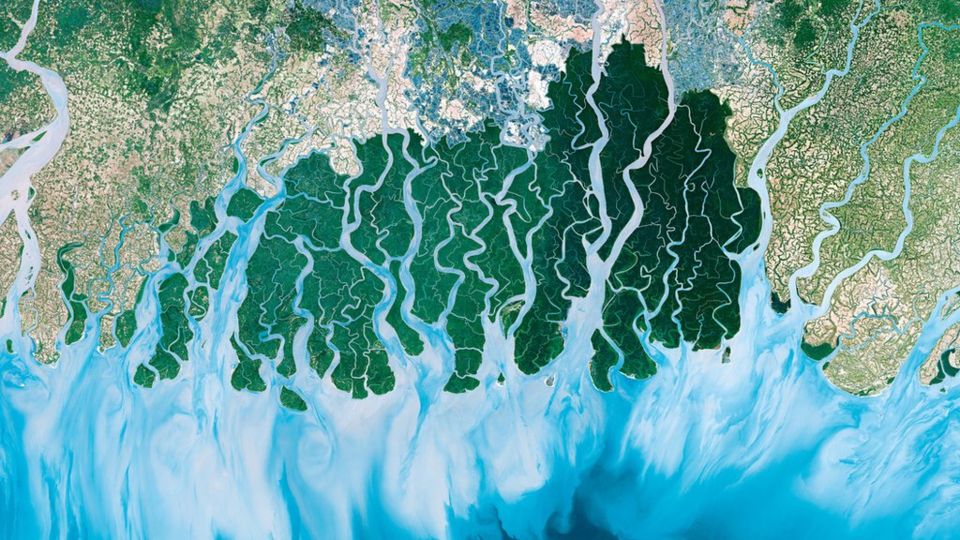 Sundarbans