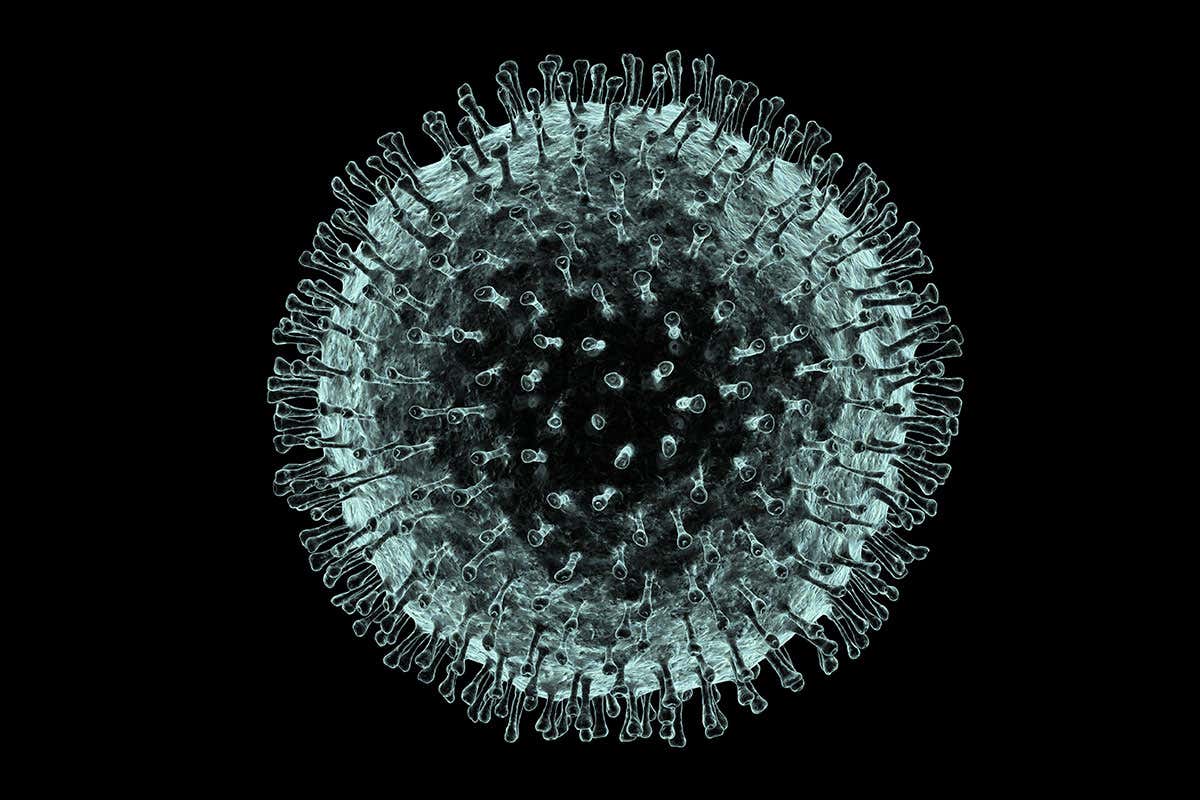 koronavirüsün ayda ortalama iki kez mutasyona uğraması iyi mi